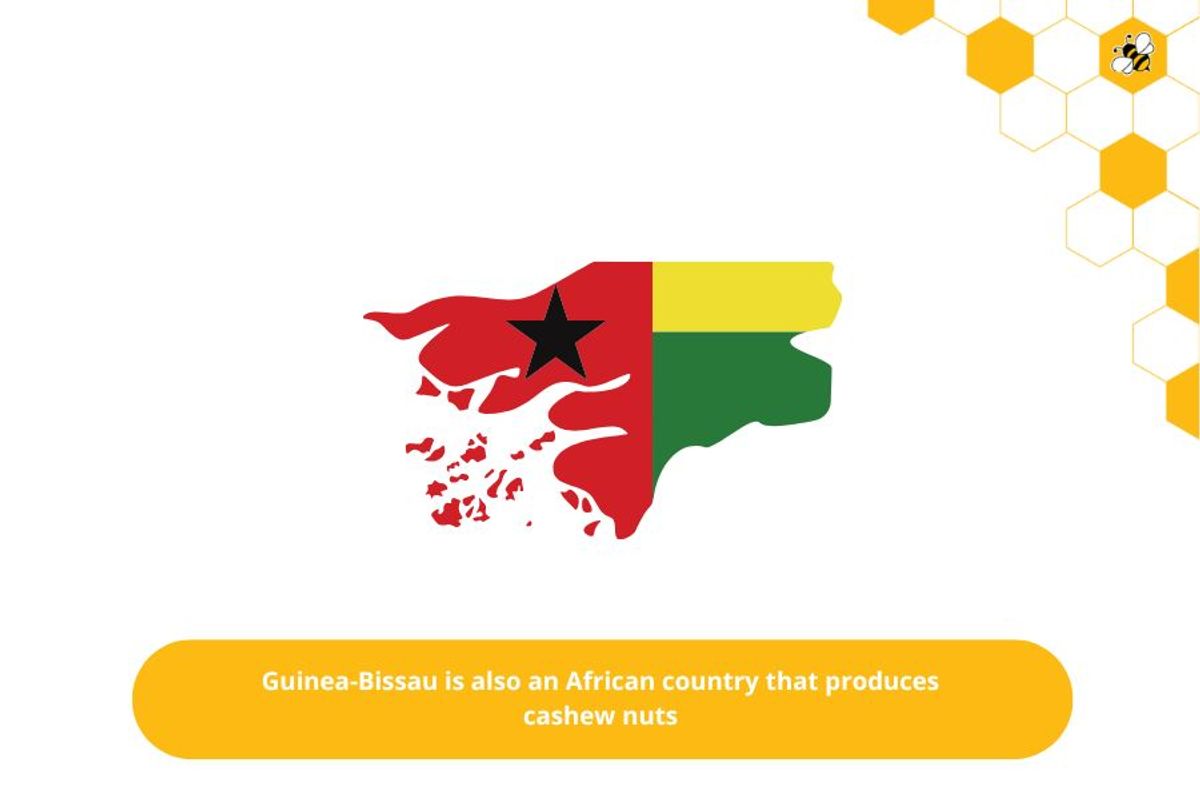 Guinea-Bissau is also an African country that produces cashew nuts