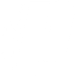 Block image