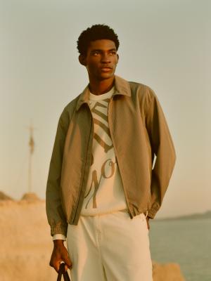 Search promotion image