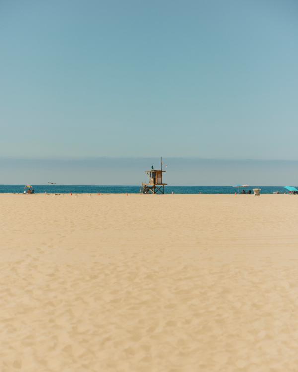 Grid image