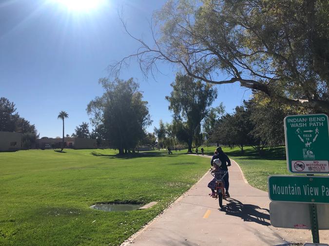 wife and kid on electric rad wagon bike