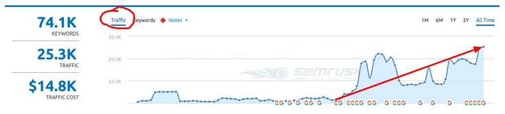 wordpress seo