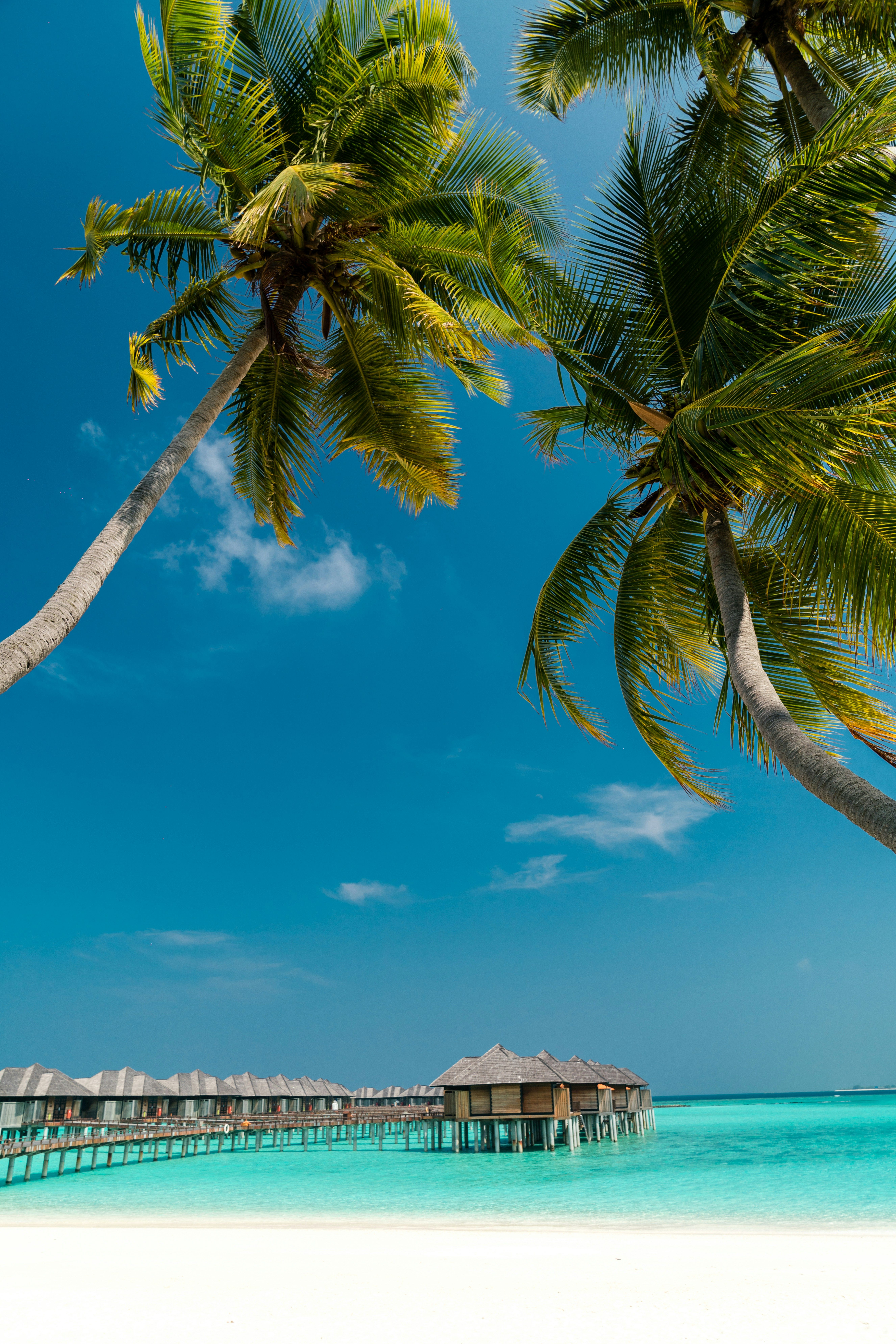Maldives for Honeymoon