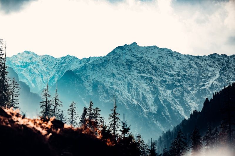 Kashmir Honeymoon Classic