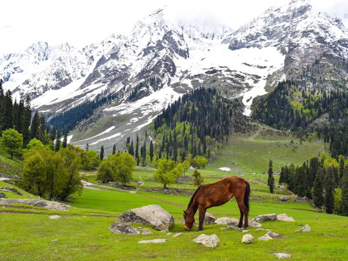 Ladakh photo 1