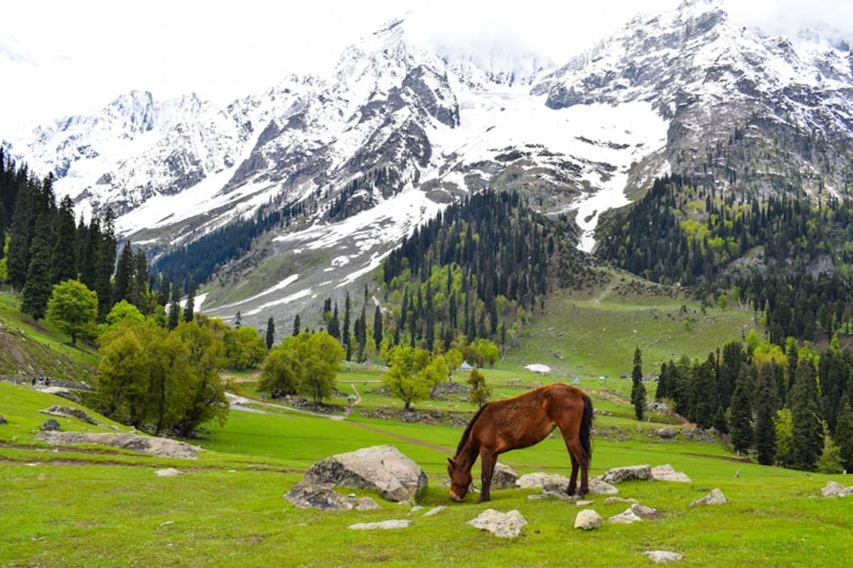 Ladakh photo 1
