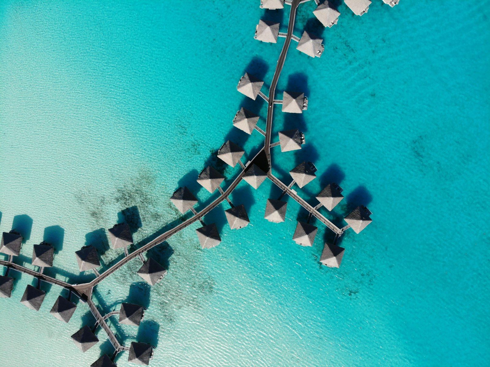 Andaman Islands — Havelock Island, scuba diving, bioluminescent seas — India's tropical island paradise