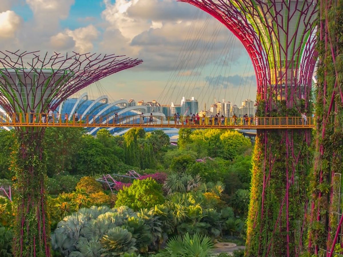 Singapore photo 1