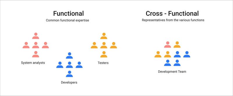 functional vs cross-funtional