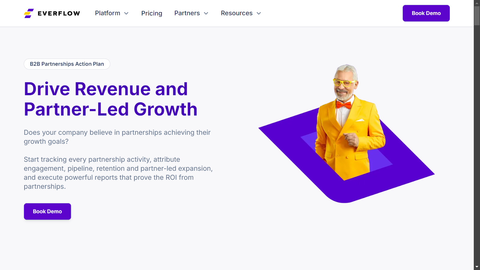 Screenshot from Everflow website.