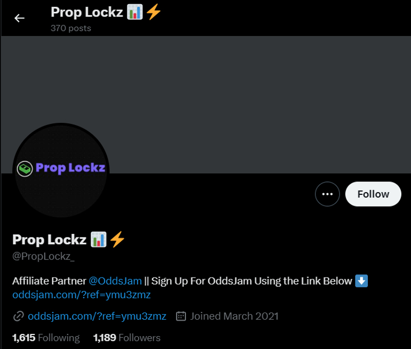 Example of affiliate link placement in social media bio.
