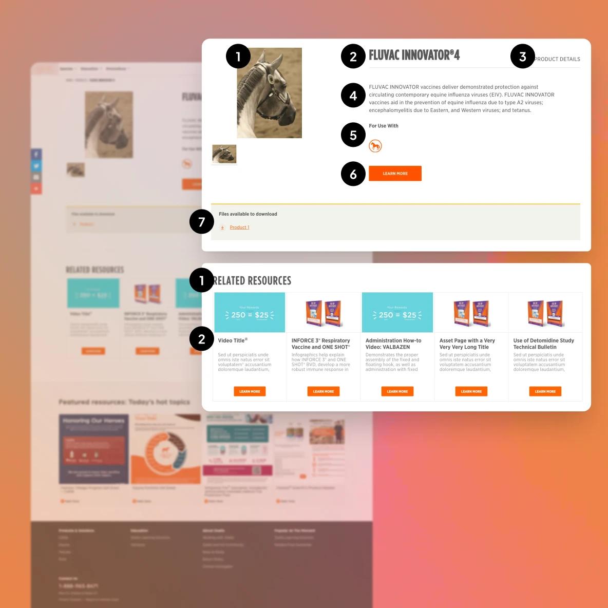Screenshot of a veterinary pharmaceutical website showing a product detail page for FLUVAC INNOVATOR 4 vaccine. The interface displays numbered callouts (1-7) highlighting key features including product image of a horse, product title, description, usage indication with horse icon, and downloadable files. Below is a related resources section showing various vaccine products and educational materials with orange 'Learn More' buttons.