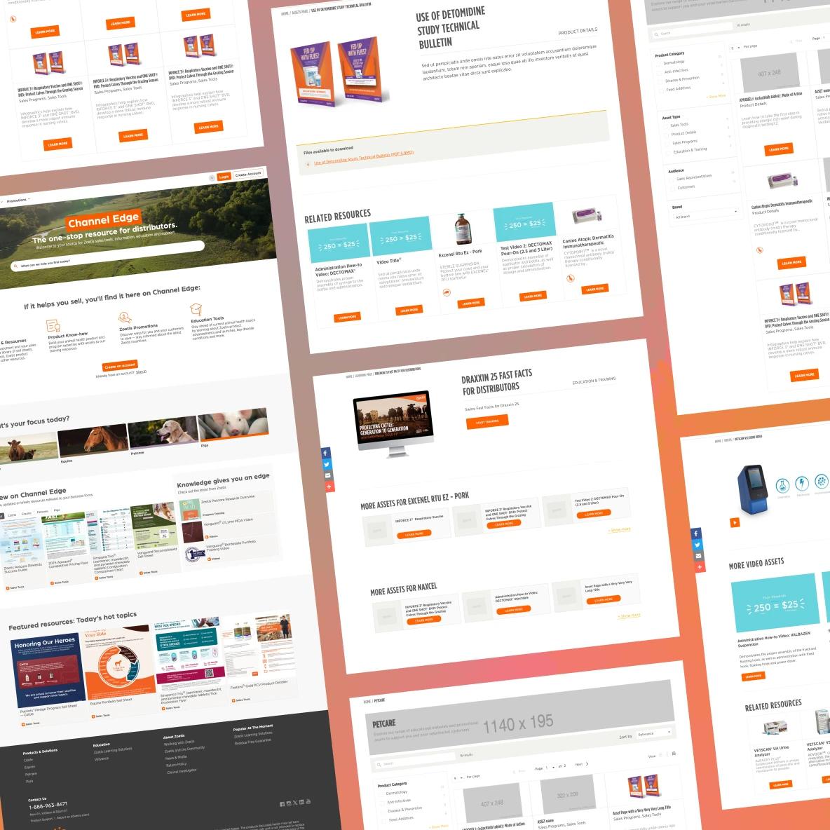 Multiple webpage screenshots showing various veterinary pharmaceutical resources, product information pages, and educational materials with orange call-to-action buttons. The layout displays product images, technical bulletins, training resources, and asset libraries for veterinary distributors.