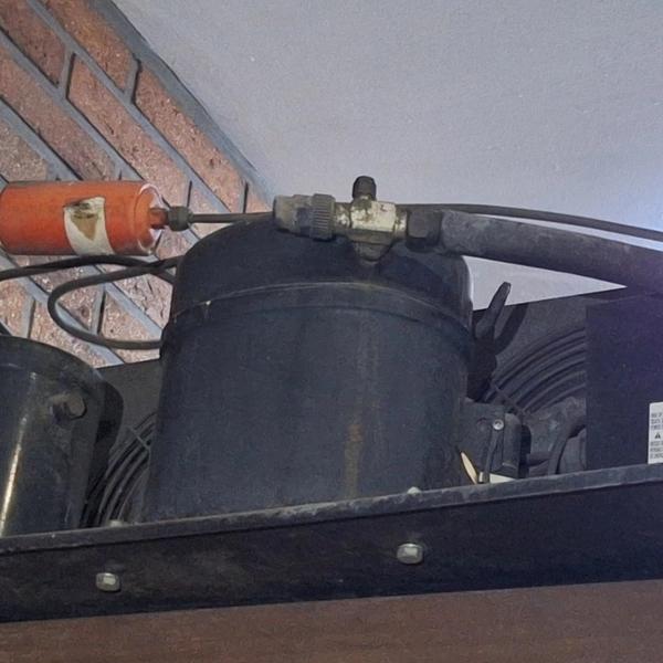 Lote 165