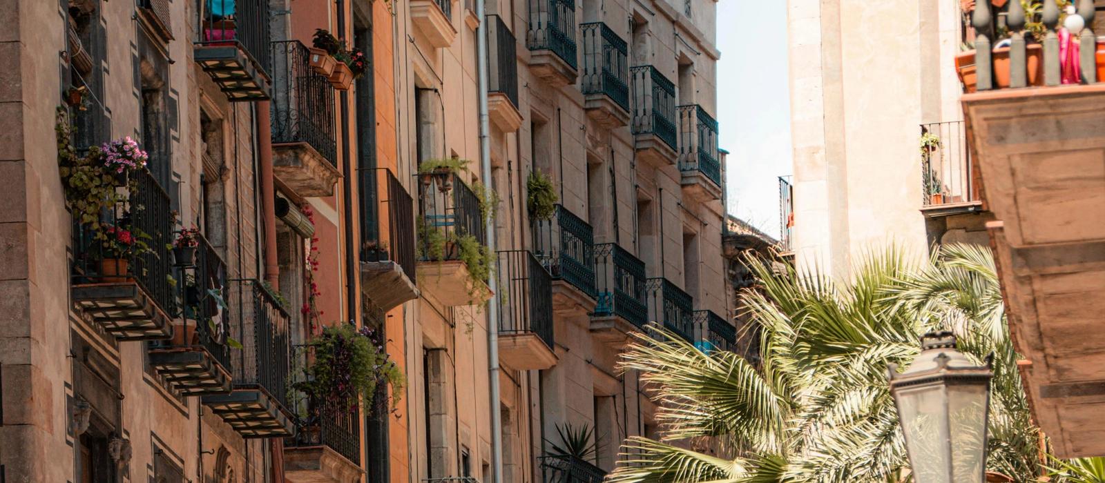 Street scene in El Raval with murals and cafés