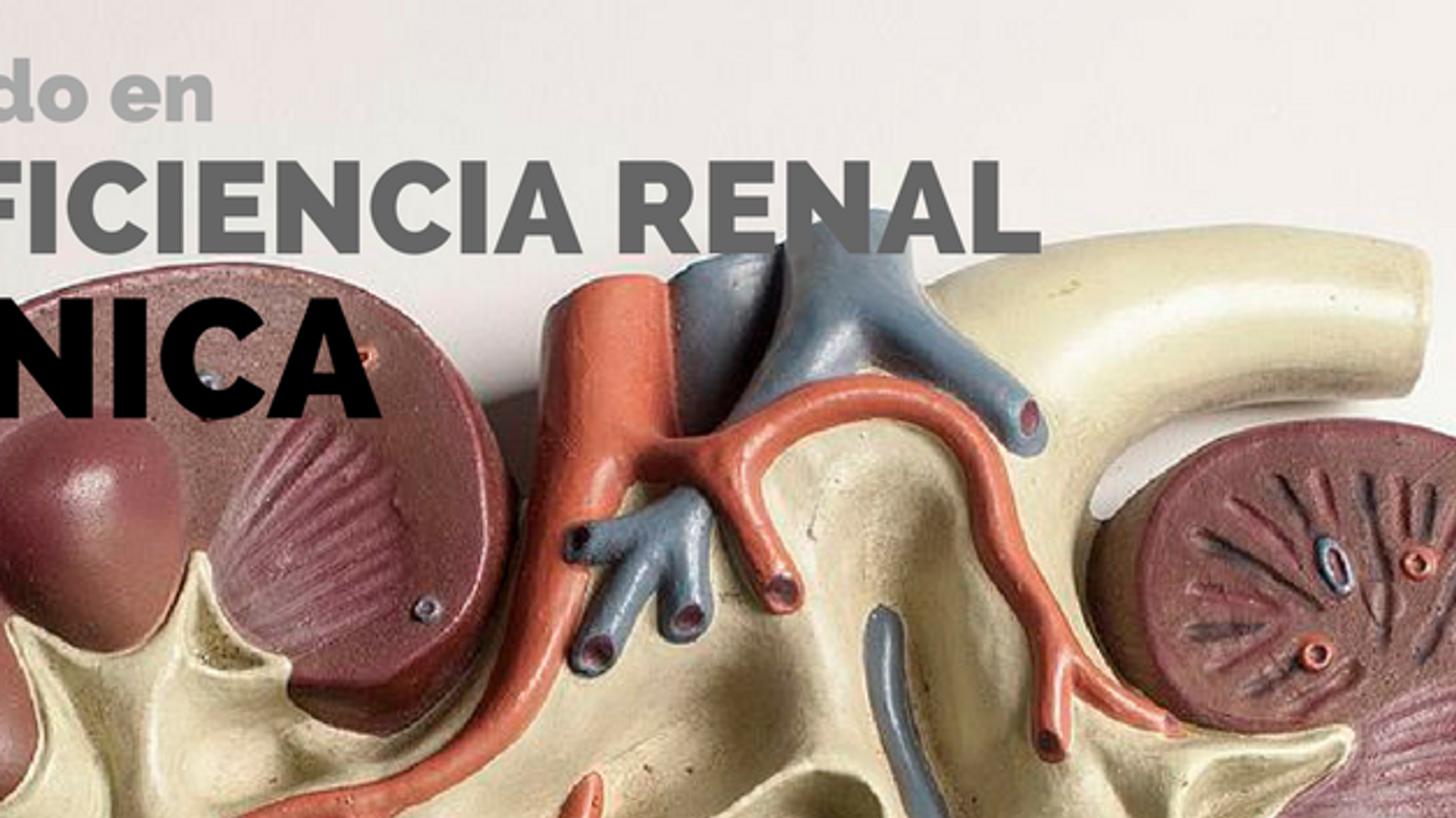 Cocinando en Insuficiencia Renal