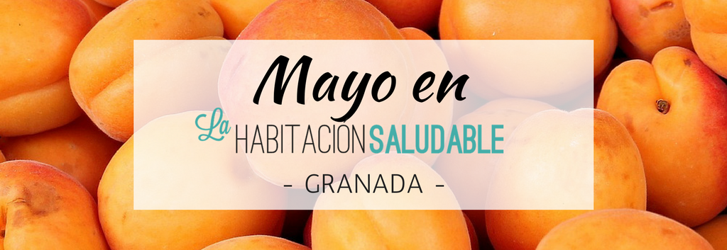 Talleres de MAYO en GRANADA
