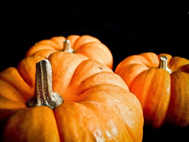 La calabaza: saludable, y más rica que nunca, en otoño
