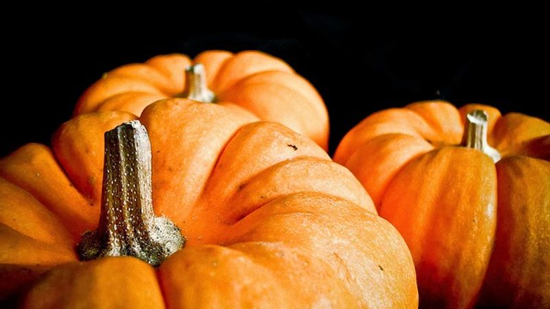 La calabaza: saludable, y más rica que nunca, en otoño