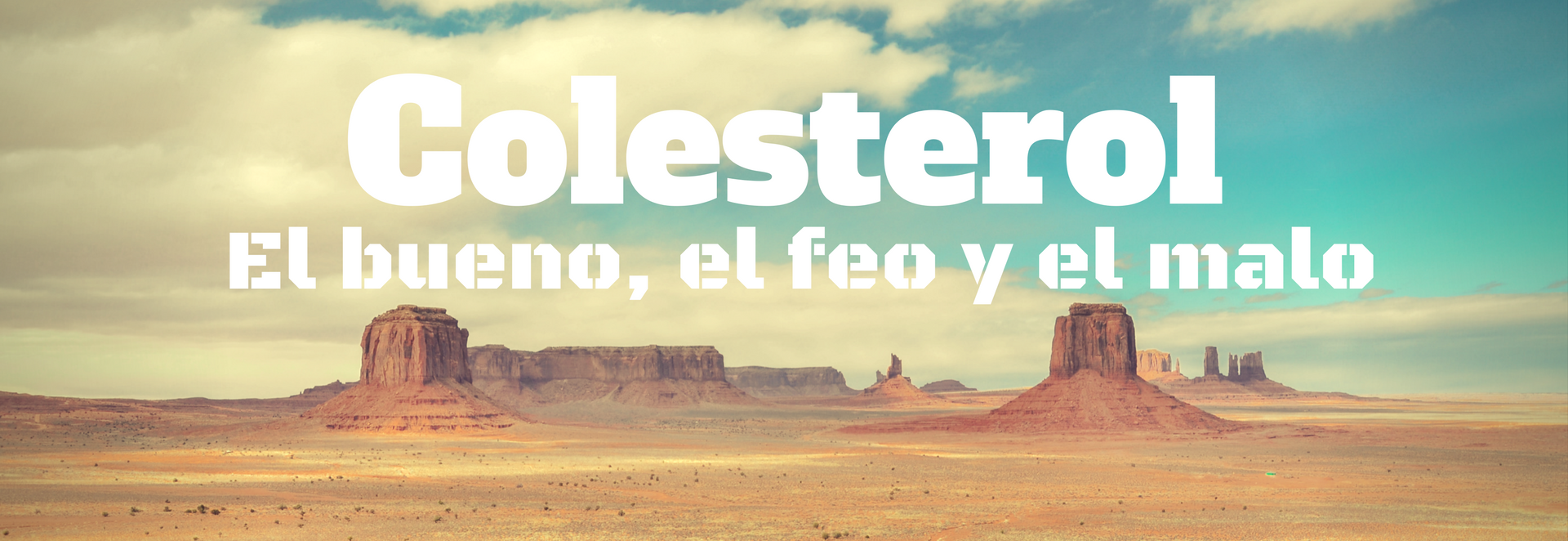 COLESTEROL: el bueno, el feo y el malo