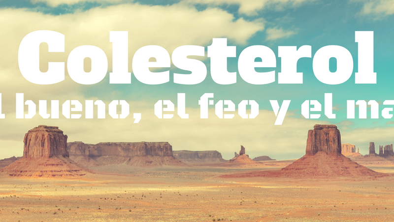 COLESTEROL: el bueno, el feo y el malo