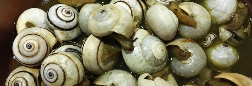 Tapeando, que es gerundio… aunque estés a dieta