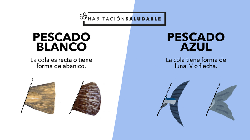 Muy In Love 💚 con el Pescado Azul