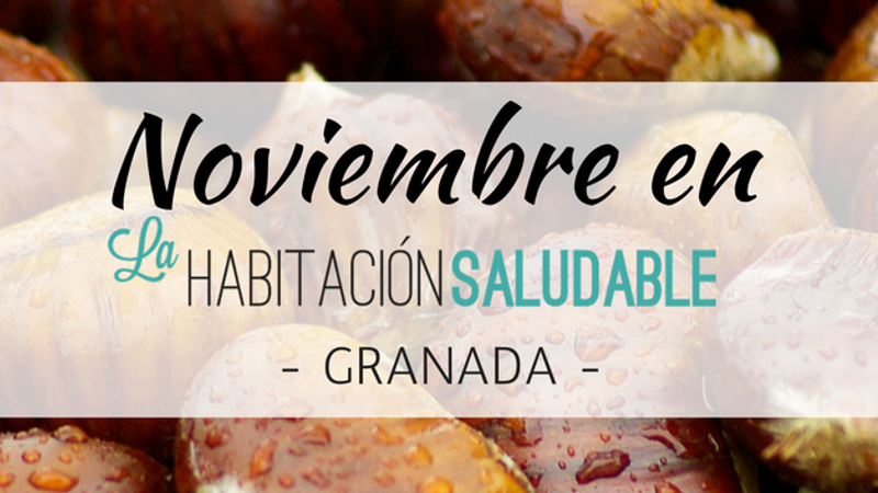 Talleres de NOVIEMBRE en GRANADA