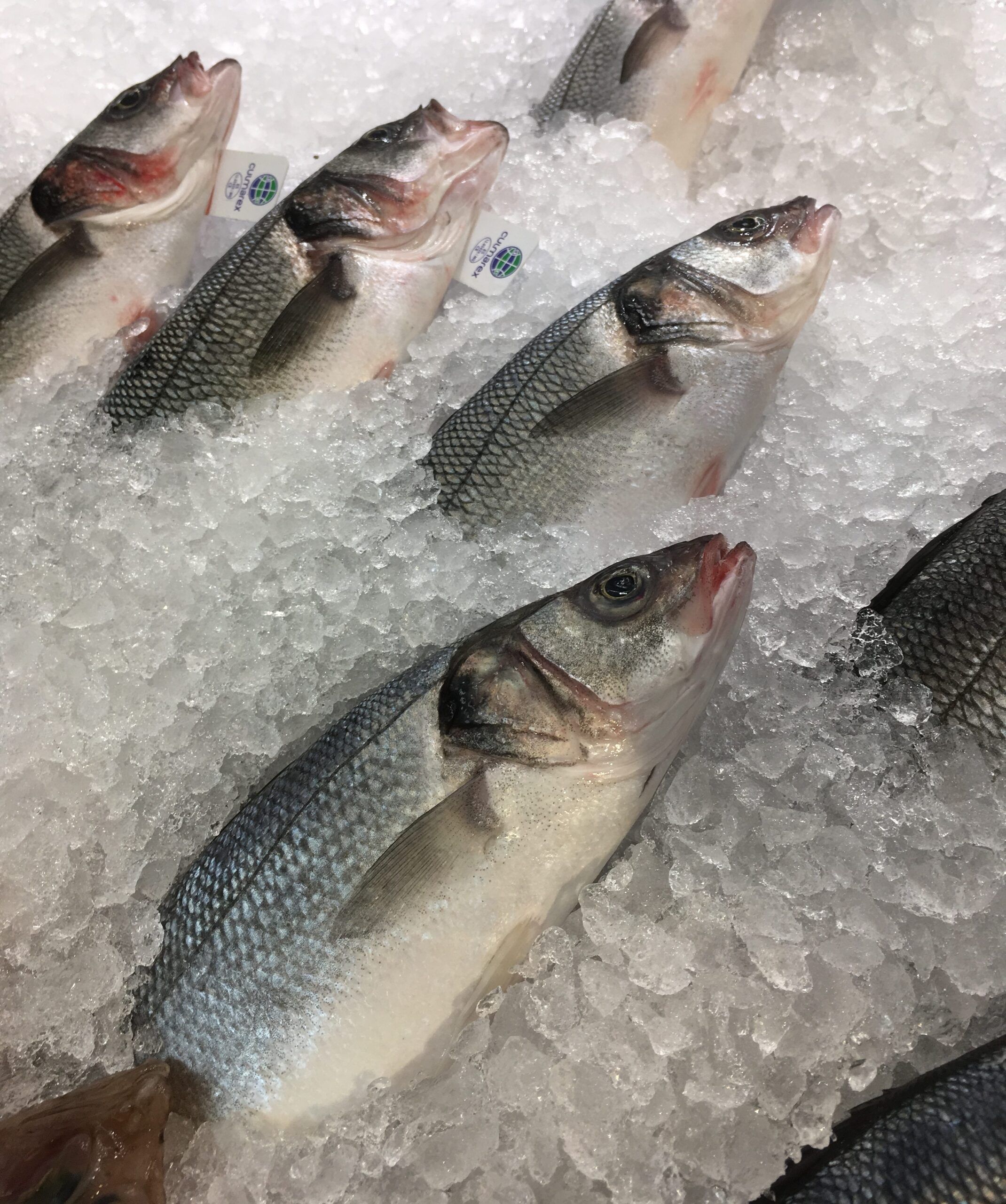 5 claves para saber si el pescado es fresco