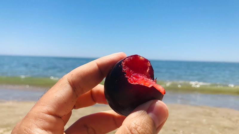 ¿Otro año con la operación bikini?