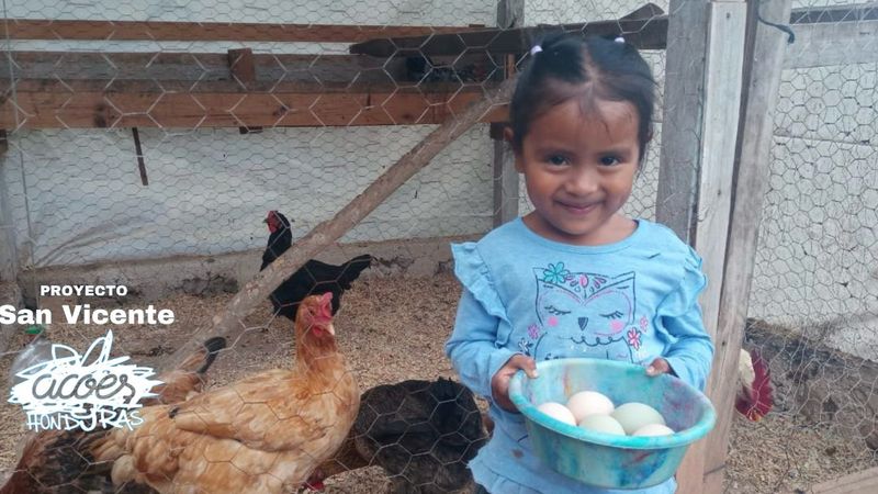 Las granjas de Luis Pedro: un proyecto solidario que alimenta