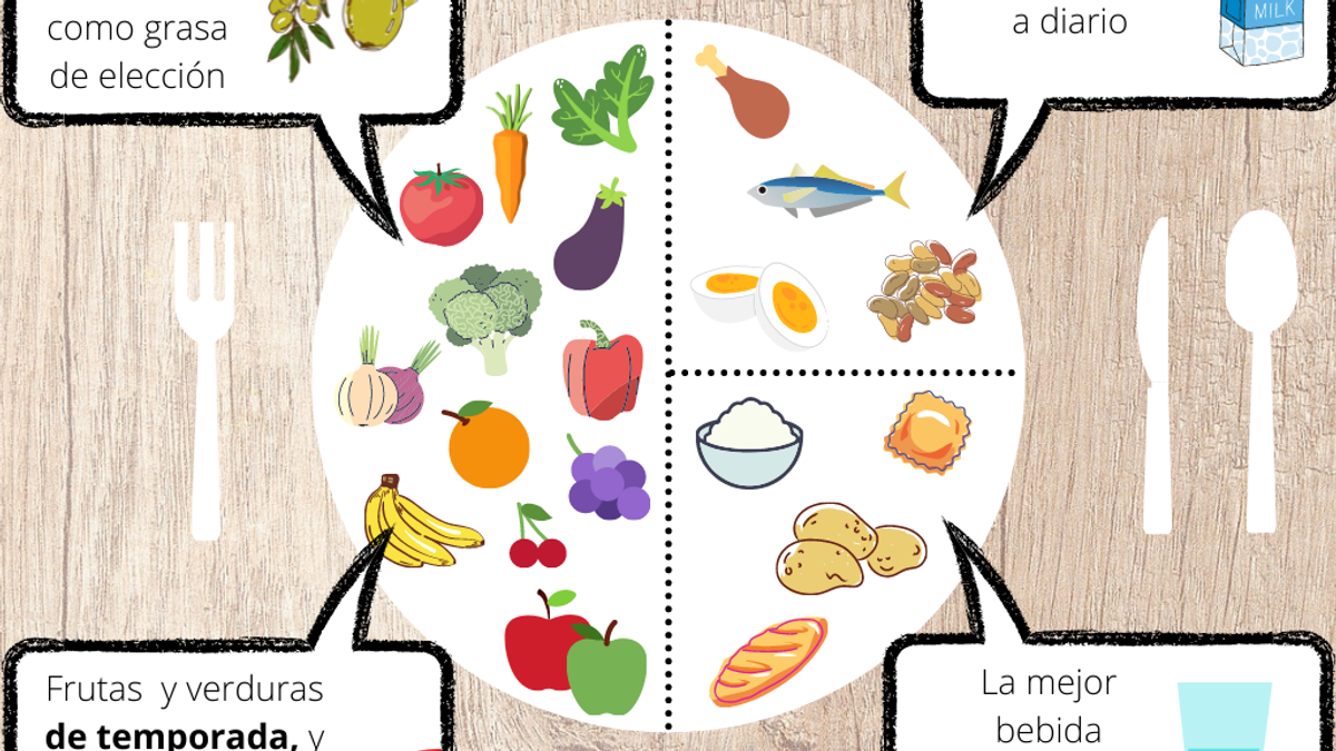 Plato de Harvard