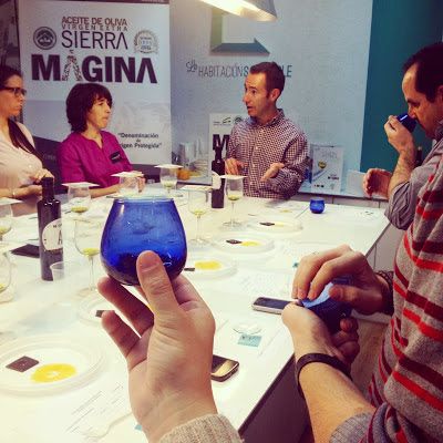 Así fue la cata de aceites singulares de la DO Sierra Mágina