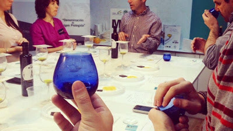 Así fue la cata de aceites singulares de la DO Sierra Mágina