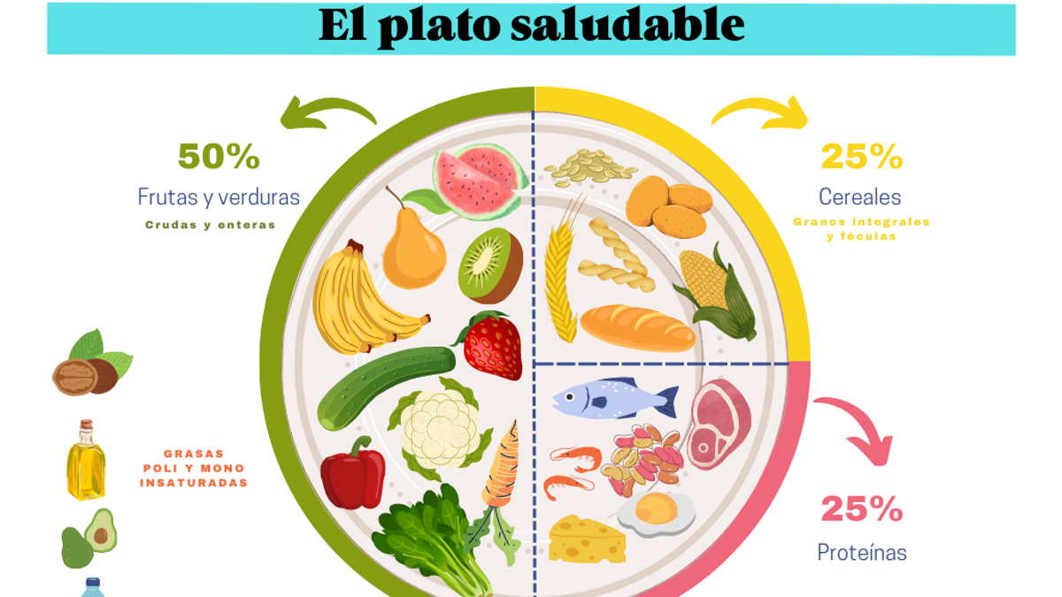 PLATO SALUDABLE