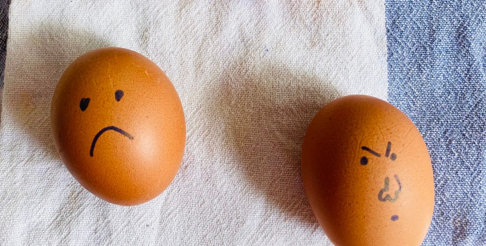Cómo evitar la Salmonella en casa