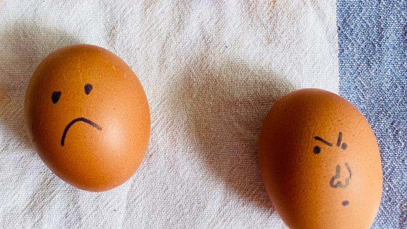 Cómo evitar la Salmonella en casa