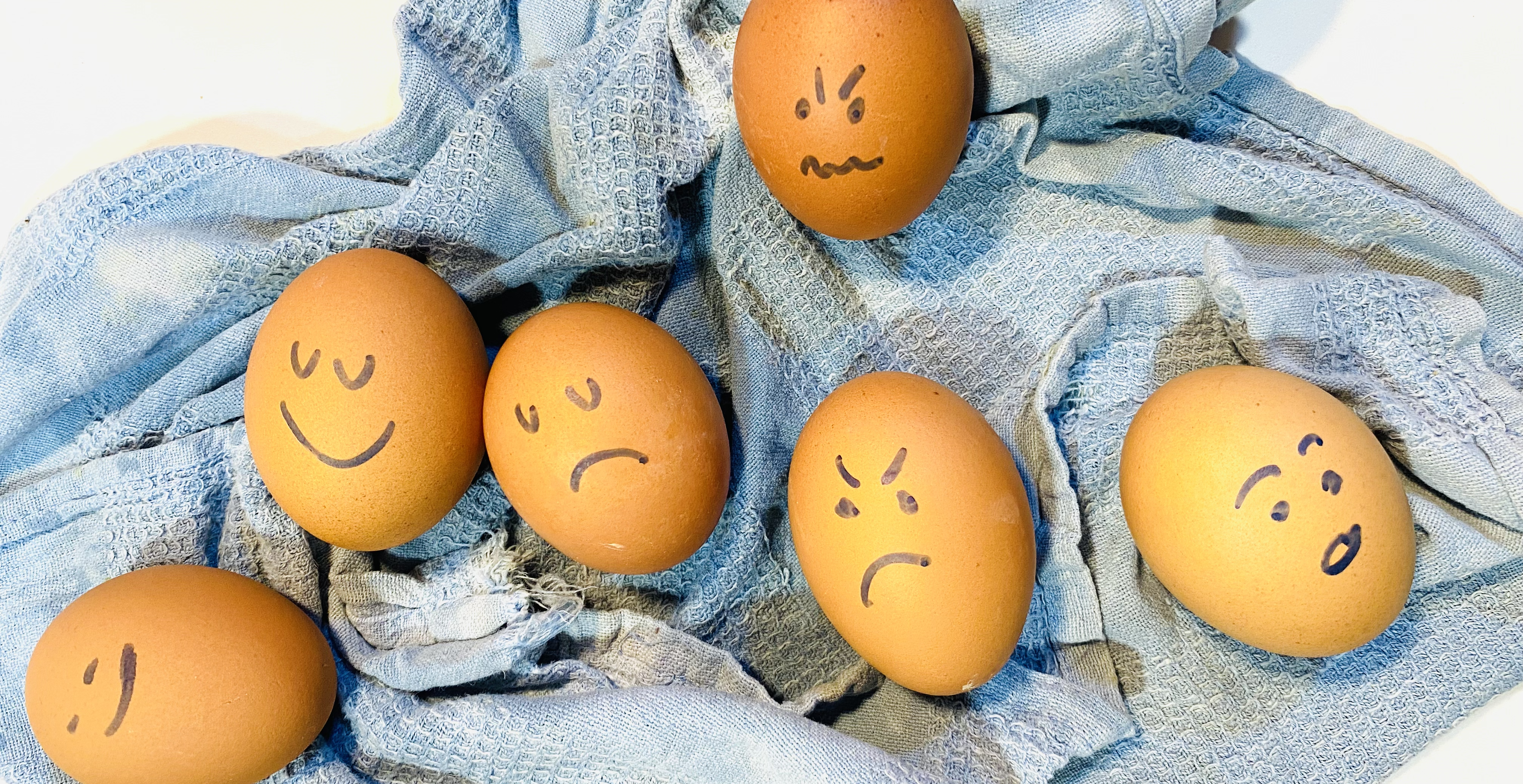 Emocionario. Aprender a entender el arte de emocionarse.