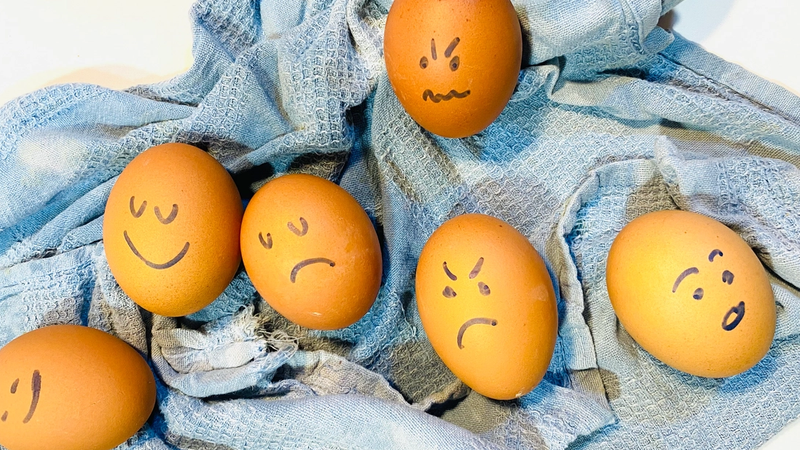 Emocionario. Aprender a entender el arte de emocionarse.