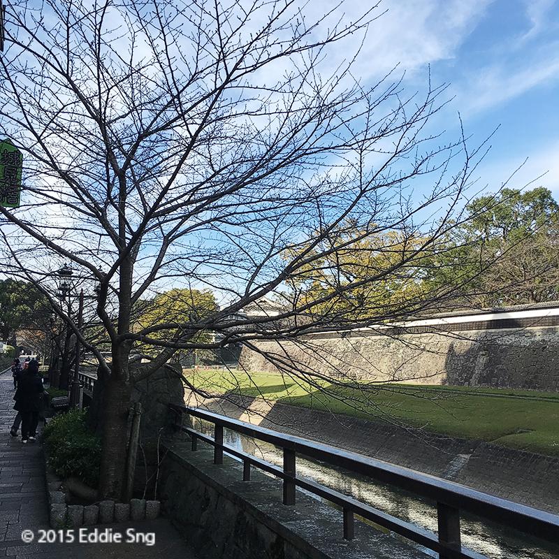 Legacy image from Kumamoto Castle and Ramen