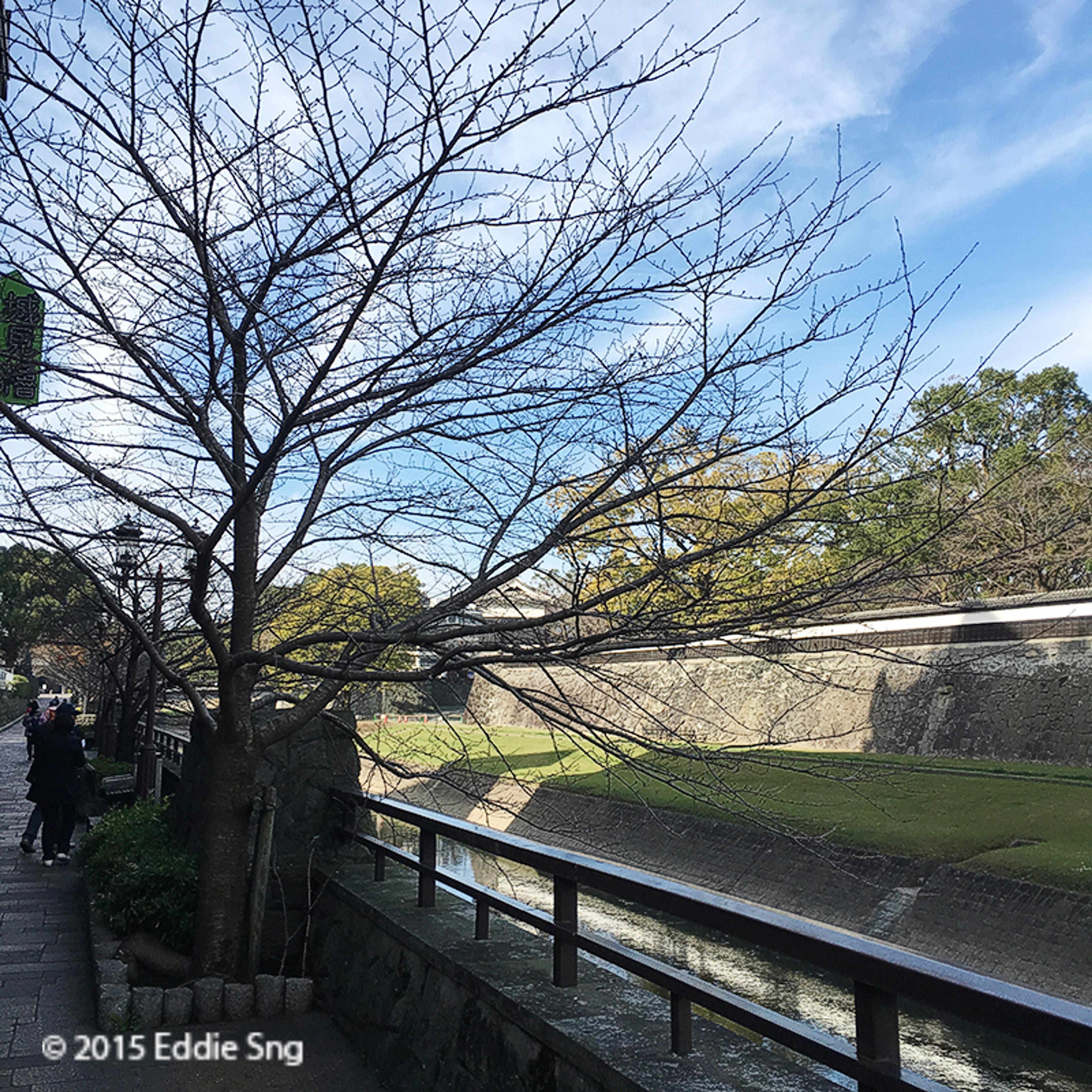 Legacy image from Kumamoto Castle and Ramen