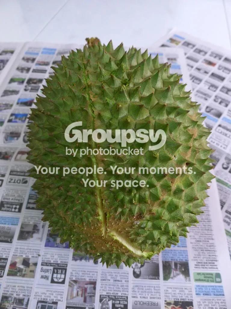 Legacy image from Its Durian Season Again!