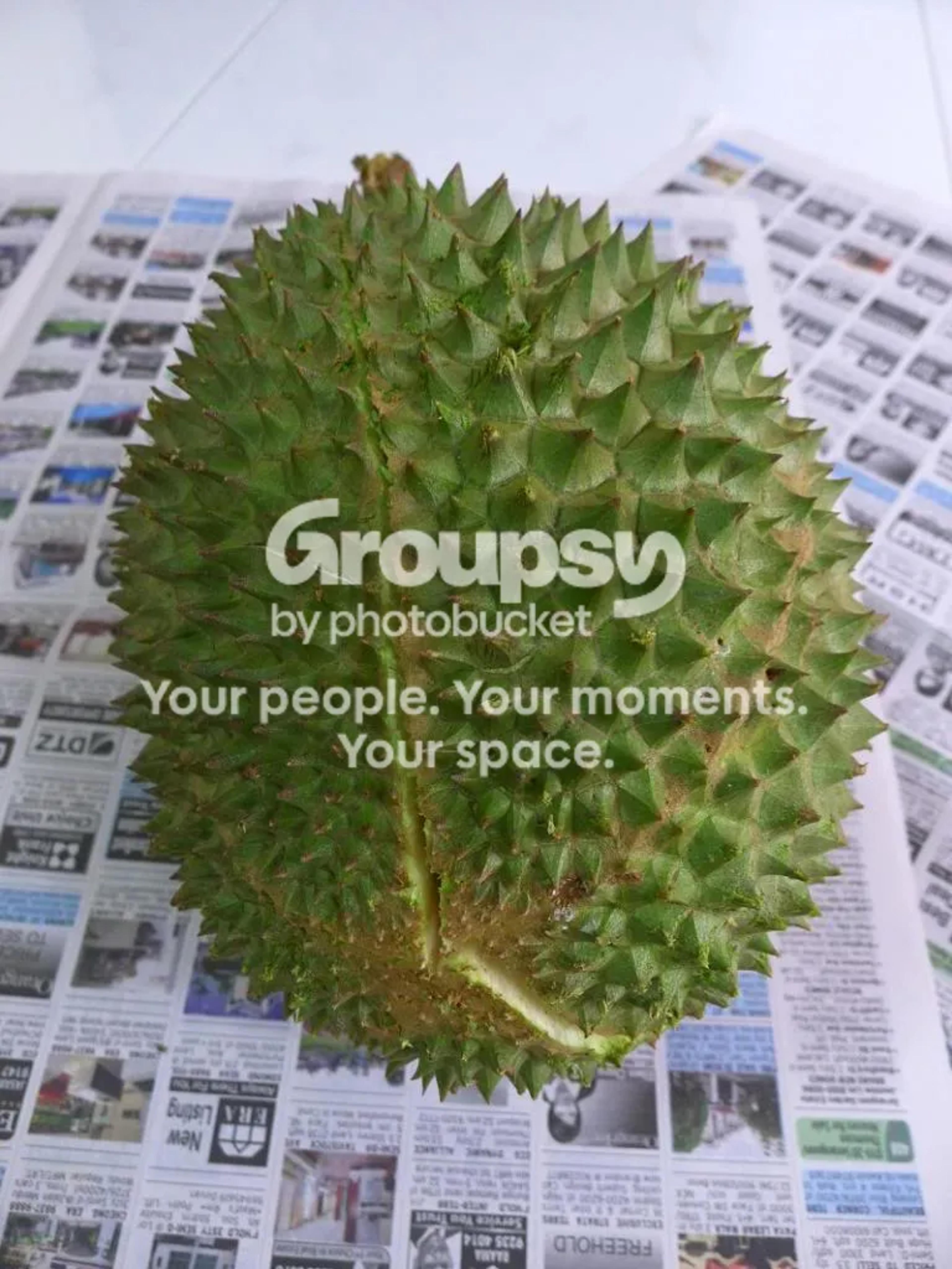 Legacy image from Its Durian Season Again!