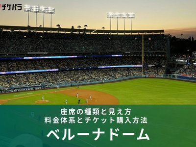 初心者必見！ベルーナドームの座席完全ガイド