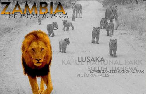 Zambia The Real Africa