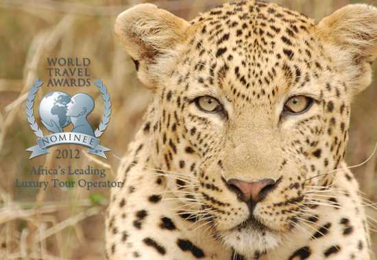 Rhino Africa - Nominated For Africa's Leading Luxury Tour Operator 2012