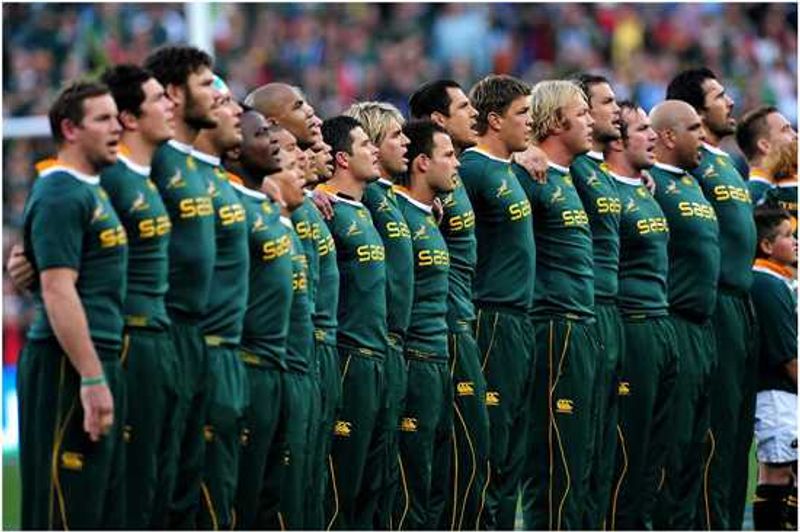 The Springboks
