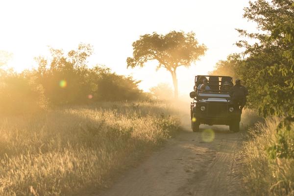 Rejoignez-nous à Silvan Safari pour un été haut en couleur !