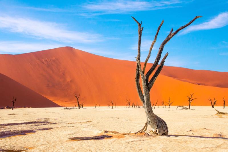 Deadvlei mit toten Bäumen und roten Dünen im namibischen Sossusvlei