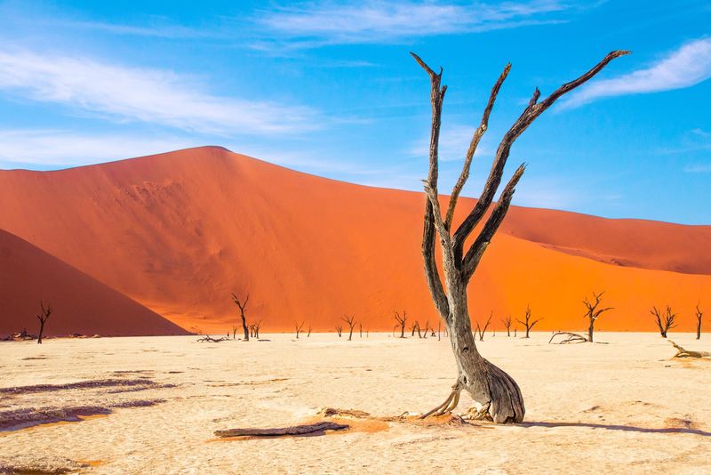 Deadvlei mit toten Bäumen und roten Dünen im namibischen Sossusvlei